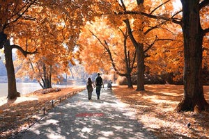 包頭到黃花溝旅游(包頭到黃花溝旅游攻略)